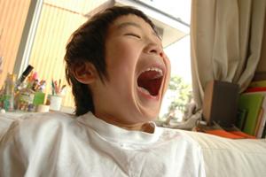 保育士資格取得見込みの学生働ける